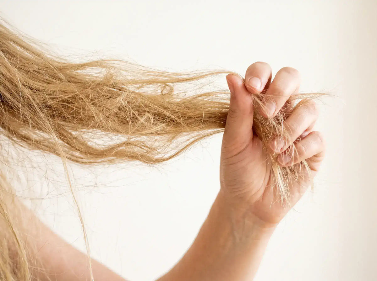 Verfilzte Haare lösen | So wirst du Knoten schonend los
