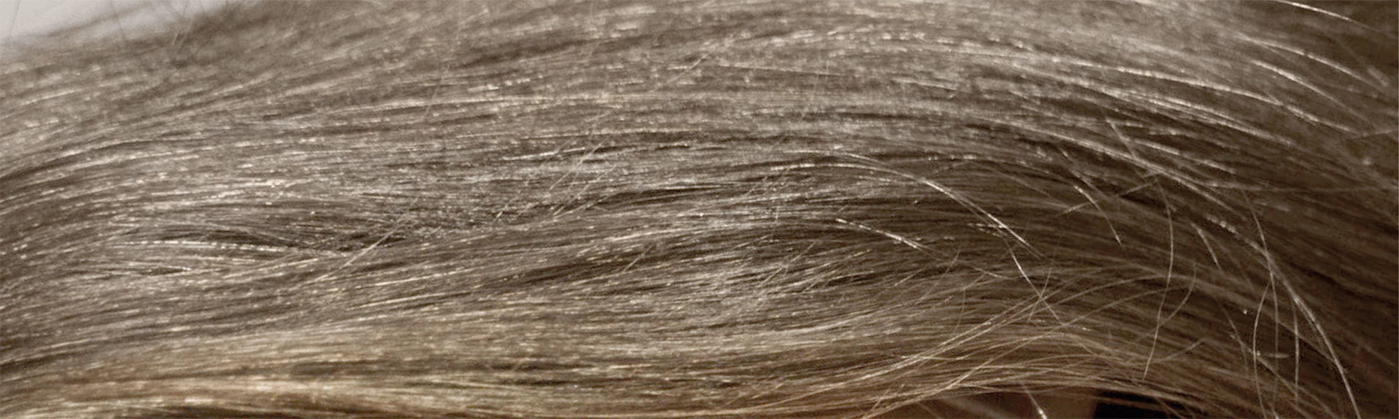 Strapaziertes, geschädigtes Haar