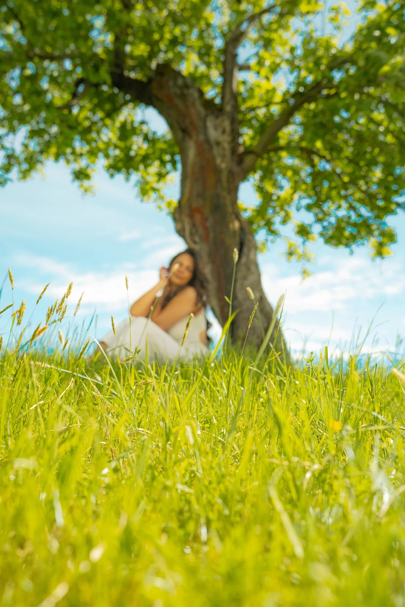 Frau sitzt an einem Baum, auf einer grünen Wiese