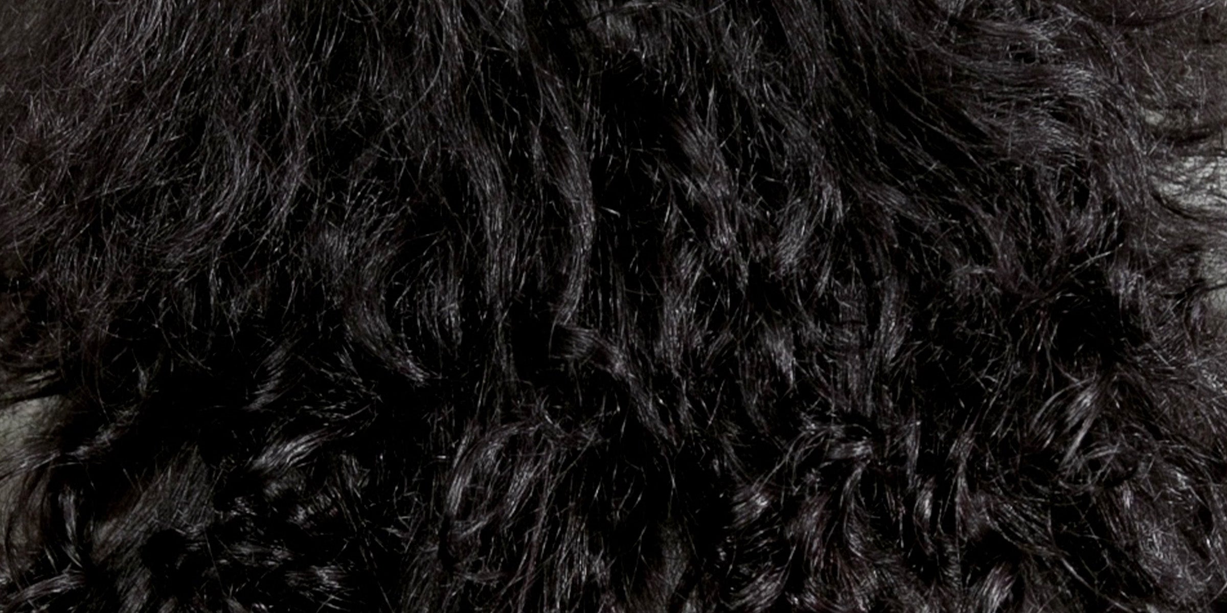 Naturgelocktes schwarzes Haar, ausgetrocknet und frizzy in der Struktur.