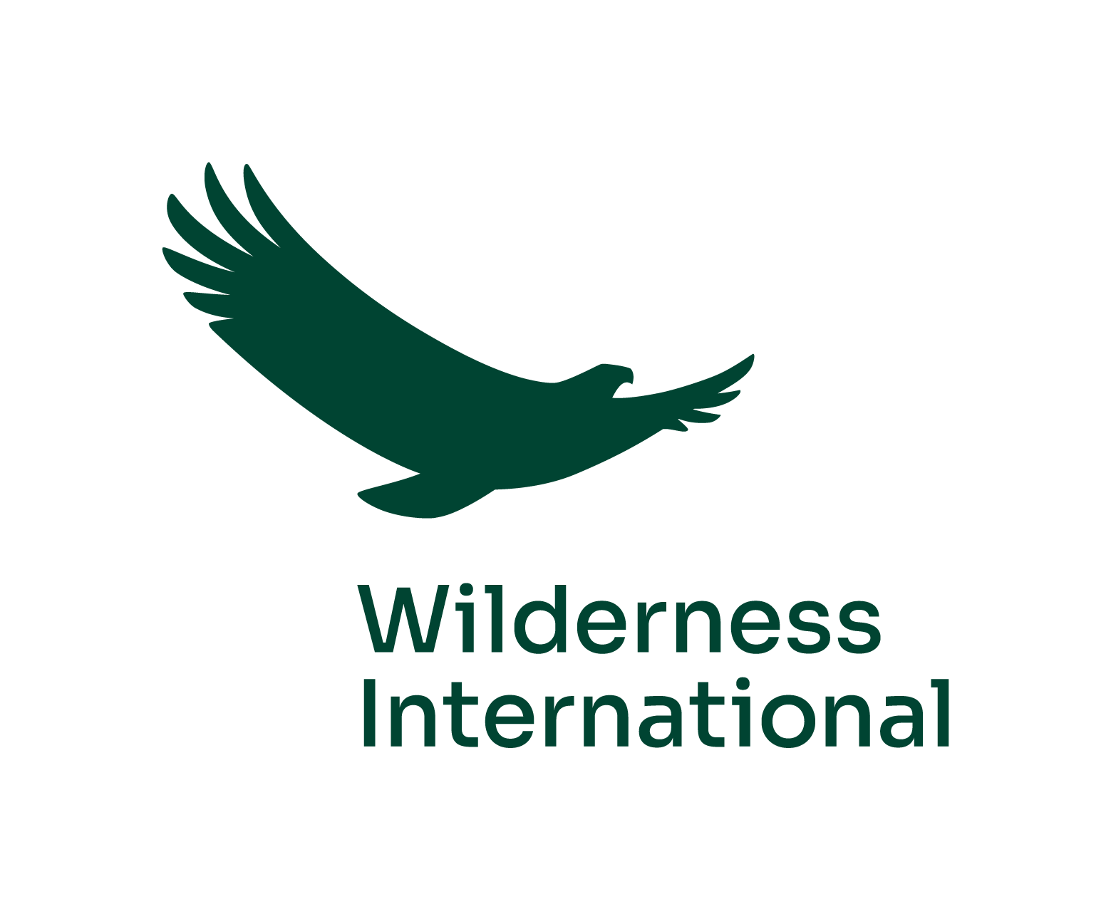 Wilderness Logo in Tannengrün