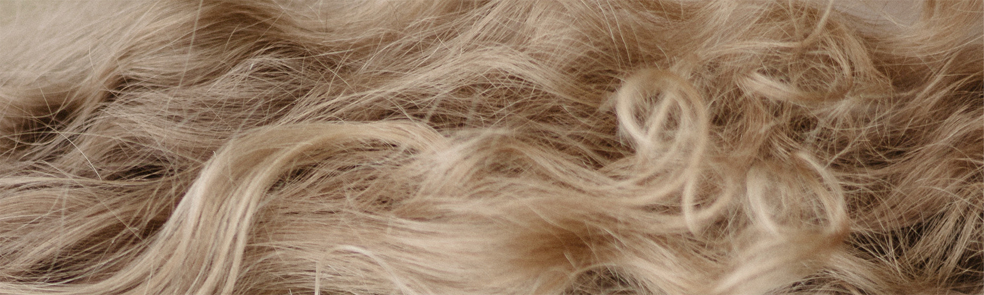 Naturgelocktes, krauses, trockenes Haar
