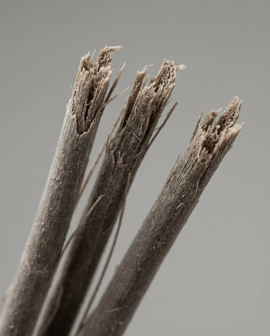 Makroaufnahme von stark geschädigten Haarfasern mit aufgespaltenen Spitzen – typische Struktur bei trockenem, brüchigem Haar.